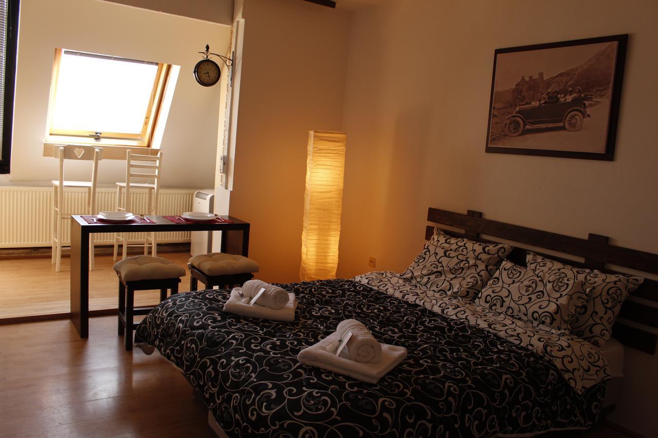 Apartman "Soba Sa Pogledom" Golubac Zewnętrze zdjęcie